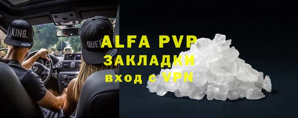 сатива Нефтекумск