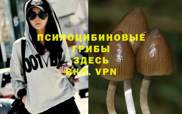 кокс Нея
