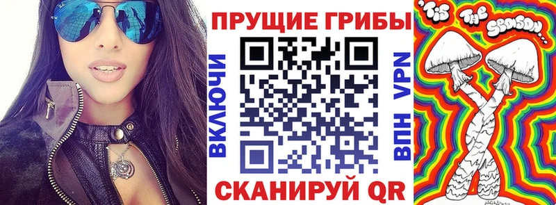 Галлюциногенные грибы MAGIC MUSHROOMS  Бердск 